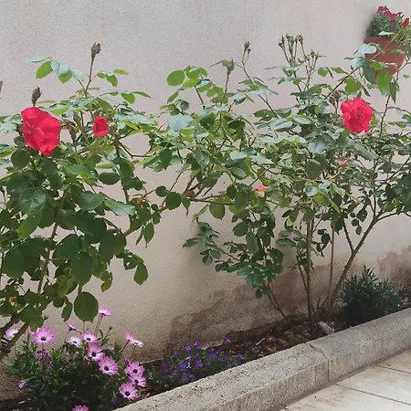 Civico 6, San Benedetto LʼAquila